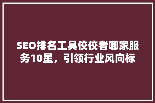 SEO排名工具佼佼者哪家服务10星，引领行业风向标