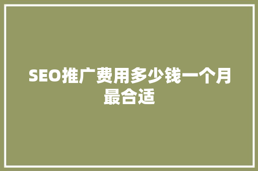 SEO推广费用多少钱一个月最合适