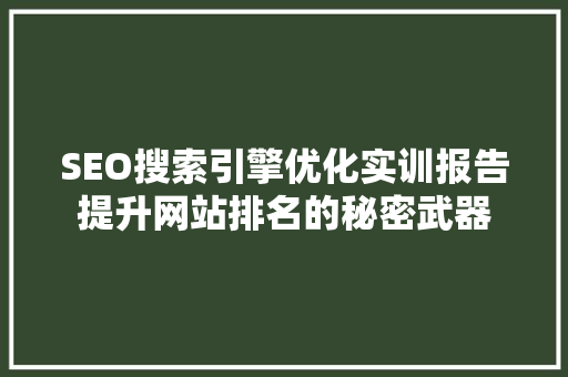 SEO搜索引擎优化实训报告提升网站排名的秘密武器