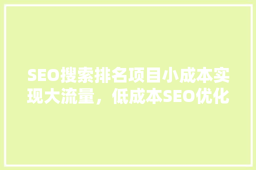 SEO搜索排名项目小成本实现大流量，低成本SEO优化步骤