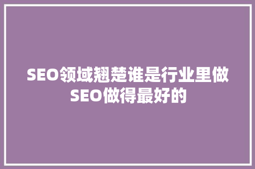 SEO领域翘楚谁是行业里做SEO做得最好的