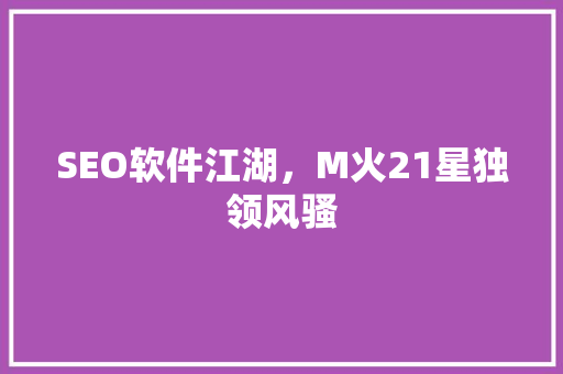 SEO软件江湖，M火21星独领风骚