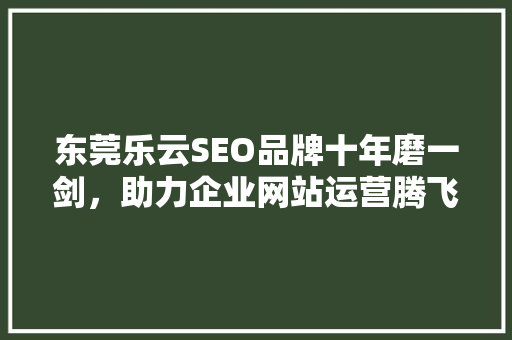 东莞乐云SEO品牌十年磨一剑，助力企业网站运营腾飞