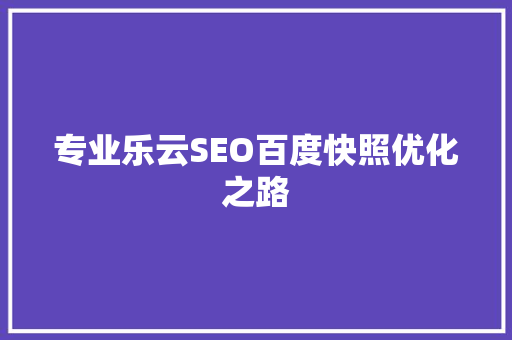 专业乐云SEO百度快照优化之路