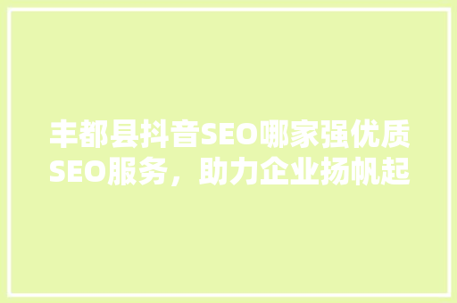 丰都县抖音SEO哪家强优质SEO服务，助力企业扬帆起航