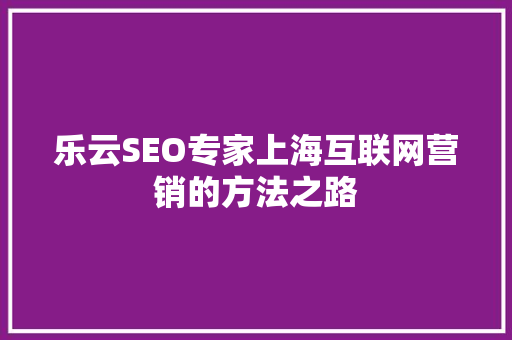 乐云SEO专家上海互联网营销的方法之路