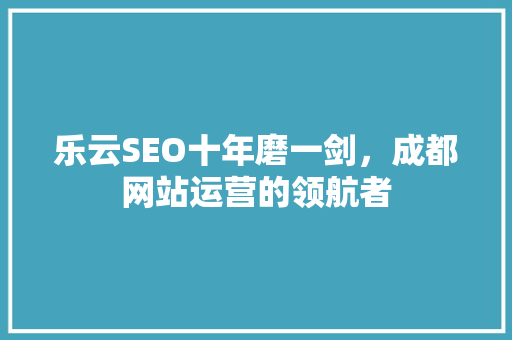 乐云SEO十年磨一剑，成都网站运营的领航者
