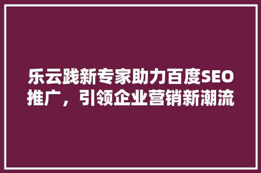 乐云践新专家助力百度SEO推广，引领企业营销新潮流