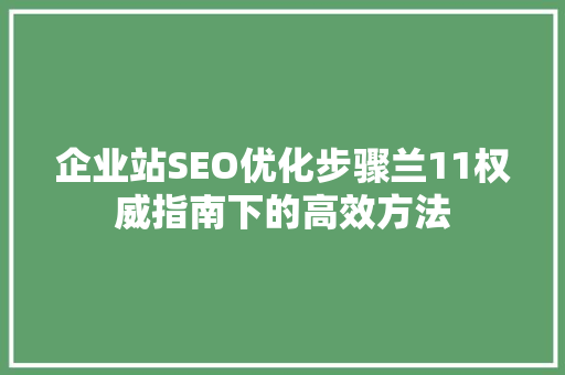 企业站SEO优化步骤兰11权威指南下的高效方法