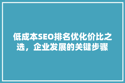 低成本SEO排名优化价比之选，企业发展的关键步骤