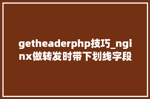 getheaderphp技巧_nginx做转发时带下划线字段的header内容损失
