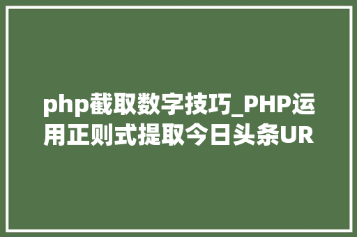 php截取数字技巧_PHP运用正则式提取今日头条URL内的数字