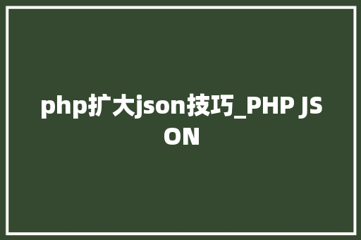 php扩大json技巧_PHP JSON