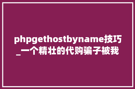 phpgethostbyname技巧_一个精壮的代购骗子被我用Python彻底征服了