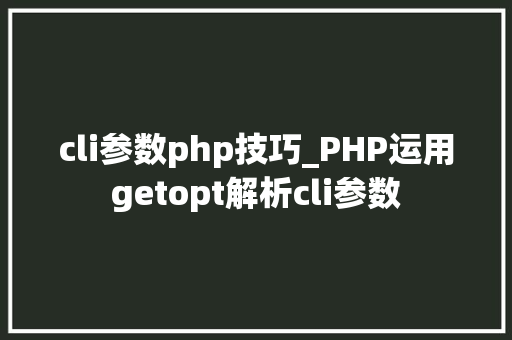 cli参数php技巧_PHP运用getopt解析cli参数