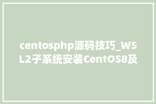 centosphp源码技巧_WSL2子系统安装CentOS8及源码编译安装Nginx118PHP74MySql80