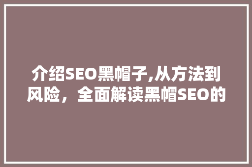 介绍SEO黑帽子,从方法到风险，全面解读黑帽SEO的真相