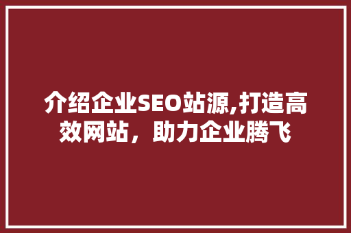 介绍企业SEO站源,打造高效网站，助力企业腾飞