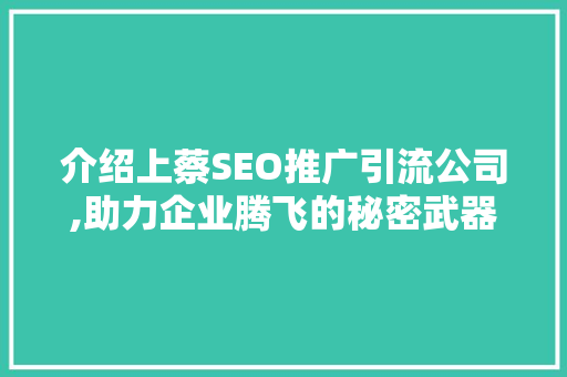 介绍上蔡SEO推广引流公司,助力企业腾飞的秘密武器