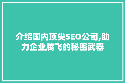介绍国内顶尖SEO公司,助力企业腾飞的秘密武器