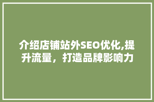 介绍店铺站外SEO优化,提升流量，打造品牌影响力