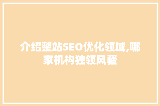 介绍整站SEO优化领域,哪家机构独领风骚