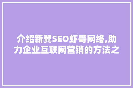 介绍新翼SEO虾哥网络,助力企业互联网营销的方法之路