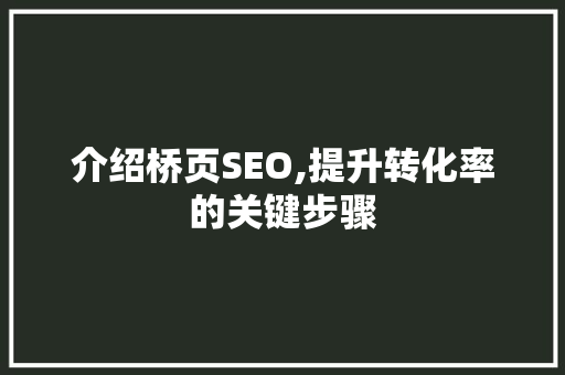 介绍桥页SEO,提升转化率的关键步骤