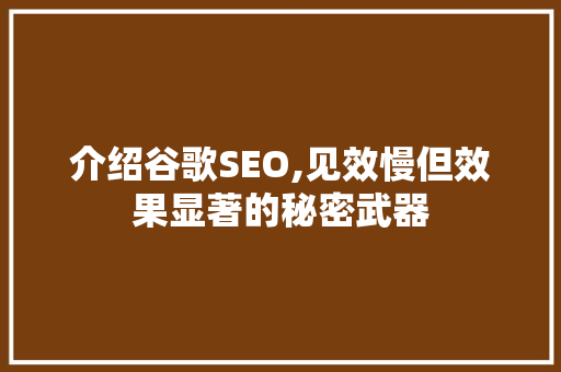 介绍谷歌SEO,见效慢但效果显著的秘密武器