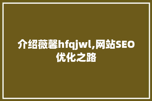 介绍薇馨hfqjwl,网站SEO优化之路