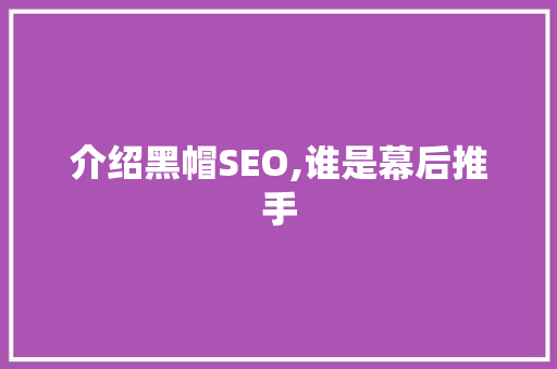 介绍黑帽SEO,谁是幕后推手