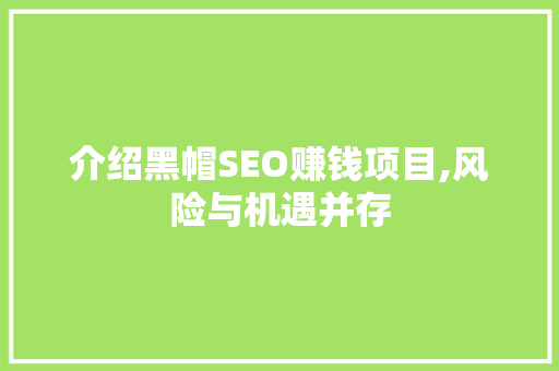 介绍黑帽SEO赚钱项目,风险与机遇并存