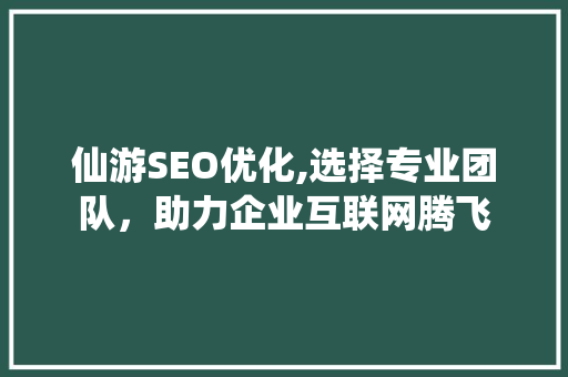 仙游SEO优化,选择专业团队，助力企业互联网腾飞