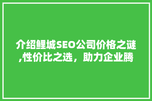 介绍鲤城SEO公司价格之谜,性价比之选，助力企业腾飞