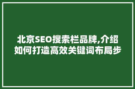 北京SEO搜索栏品牌,介绍如何打造高效关键词布局步骤