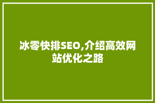 冰零快排SEO,介绍高效网站优化之路