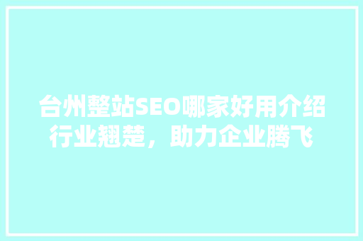 台州整站SEO哪家好用介绍行业翘楚，助力企业腾飞