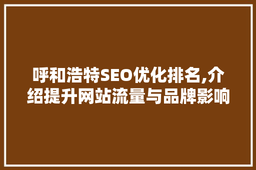 呼和浩特SEO优化排名,介绍提升网站流量与品牌影响力的方法