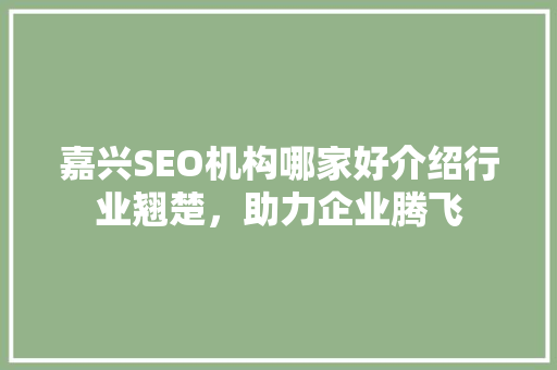 嘉兴SEO机构哪家好介绍行业翘楚，助力企业腾飞