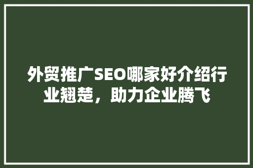 外贸推广SEO哪家好介绍行业翘楚，助力企业腾飞