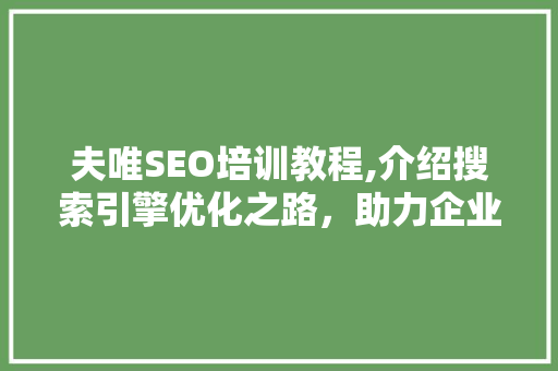 夫唯SEO培训教程,介绍搜索引擎优化之路，助力企业网络营销