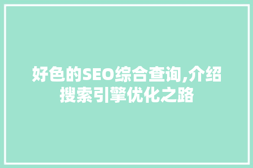 好色的SEO综合查询,介绍搜索引擎优化之路