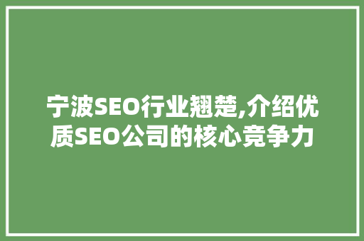 宁波SEO行业翘楚,介绍优质SEO公司的核心竞争力