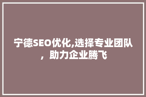 宁德SEO优化,选择专业团队，助力企业腾飞