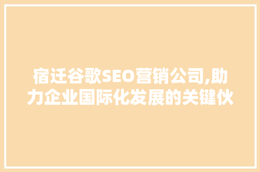 宿迁谷歌SEO营销公司,助力企业国际化发展的关键伙伴