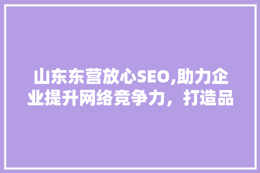山东东营放心SEO,助力企业提升网络竞争力，打造品牌新高度
