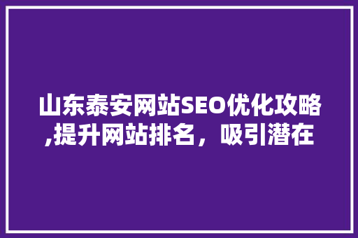 山东泰安网站SEO优化攻略,提升网站排名，吸引潜在客户