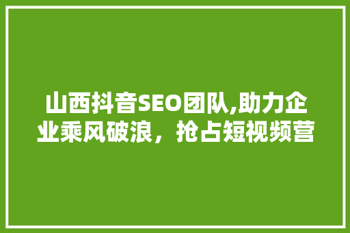 山西抖音SEO团队,助力企业乘风破浪，抢占短视频营销新风口