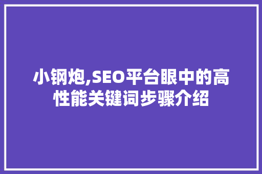 小钢炮,SEO平台眼中的高性能关键词步骤介绍