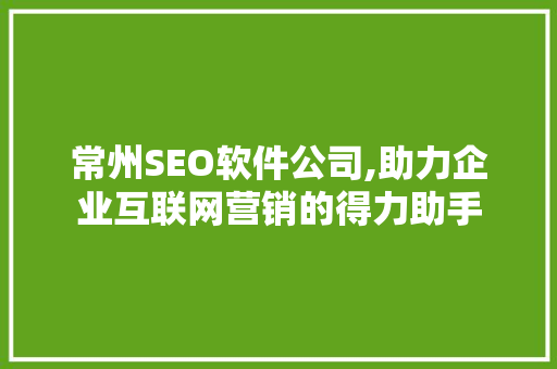 常州SEO软件公司,助力企业互联网营销的得力助手